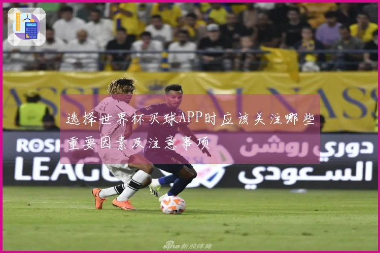选择世界杯买球APP时应该关注哪些重要因素及注意事项