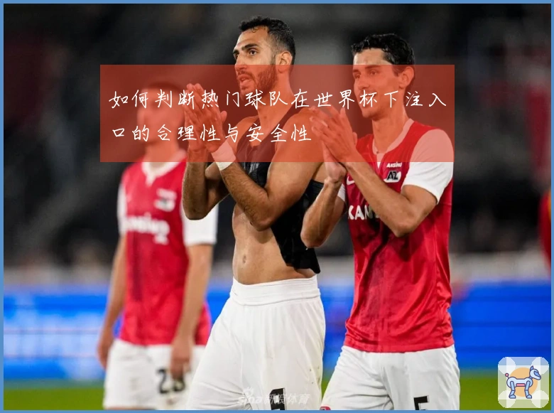 如何判断热门球队在世界杯下注入口的合理性与安全性