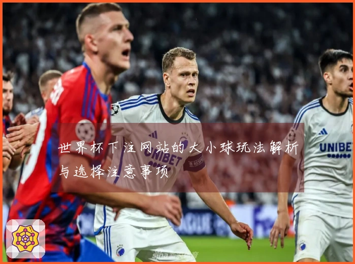 世界杯下注网站的大小球玩法解析与选择注意事项