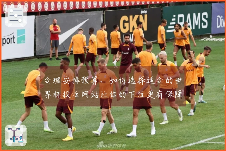 合理安排预算，如何选择适合的世界杯投注网站让你的下注更有保障