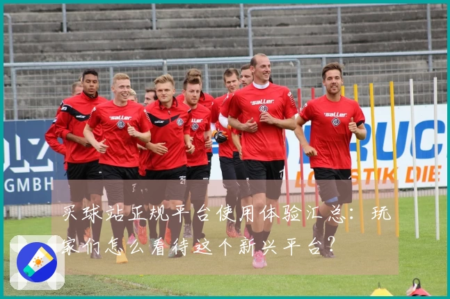 买球站正规平台使用体验汇总：玩家们怎么看待这个新兴平台？