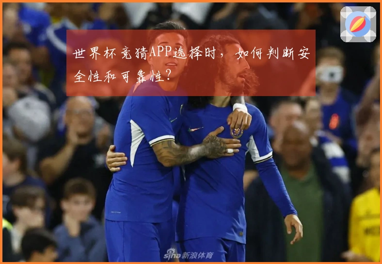世界杯竞猜APP选择时，如何判断安全性和可靠性？