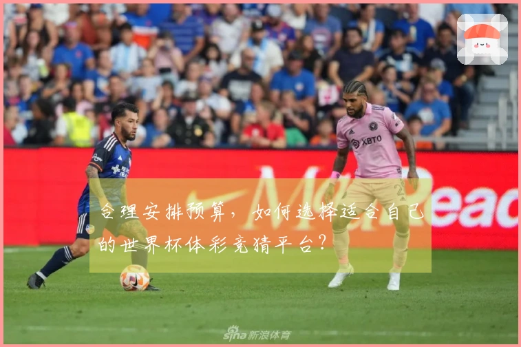 合理安排预算，如何选择适合自己的世界杯体彩竞猜平台？