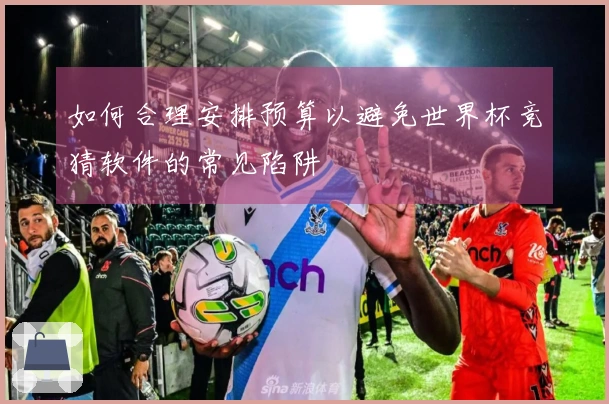如何合理安排预算以避免世界杯竞猜软件的常见陷阱