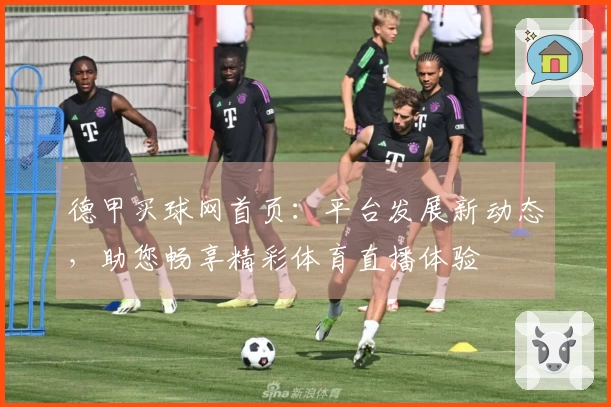 德甲买球网首页：平台发展新动态，助您畅享精彩体育直播体验