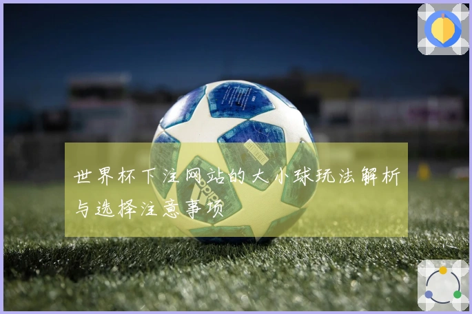 世界杯下注网站的大小球玩法解析与选择注意事项