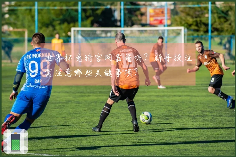 世界杯竞猜官网靠谱吗？新手投注需注意哪些关键事项？