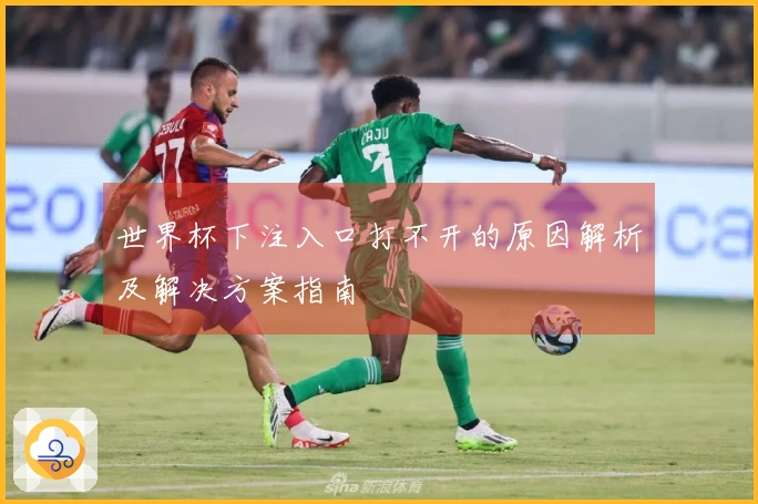 世界杯下注入口打不开的原因解析及解决方案指南