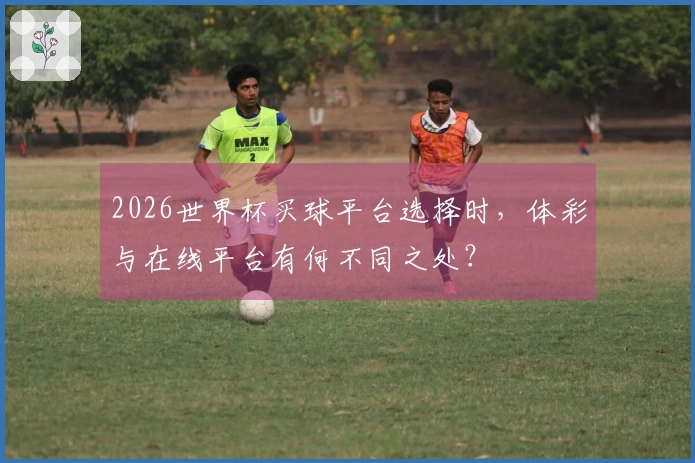2026世界杯买球平台选择时，体彩与在线平台有何不同之处？