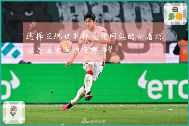 选择正规世界杯竞猜网站的必看标准与注意事项有哪些？