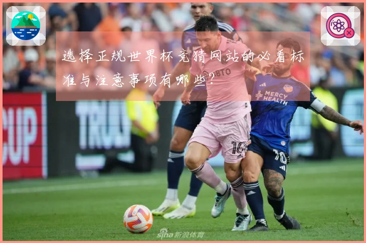 选择正规世界杯竞猜网站的必看标准与注意事项有哪些？