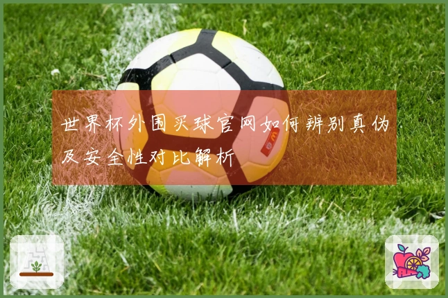 世界杯外围买球官网如何辨别真伪及安全性对比解析